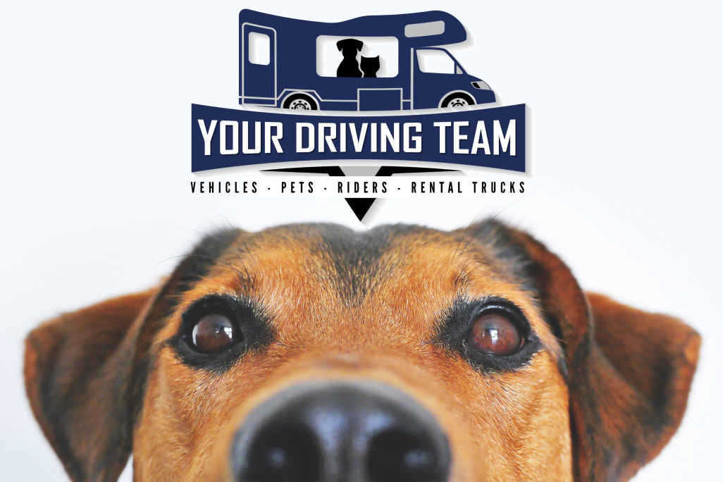 Copyright Your Driving Team 820